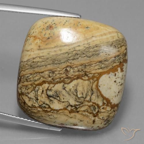 38.72ct Натуральный Многоцветный Яшма, Подушка, Непрозрачный