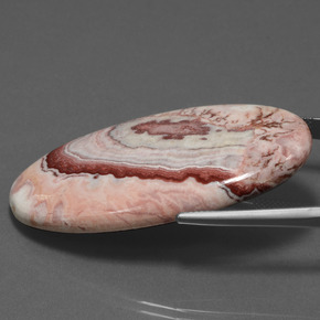 55.89 карата, натуральный Многоцветный Яшма, Огранка Овал, Непрозрачный