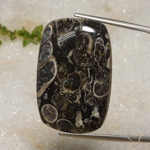 33.92ct Натуральный Многоцветный Яшма, Подушка, Непрозрачный