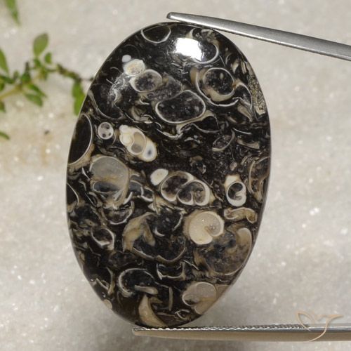 40.51ct Натуральный Многоцветный Яшма, Овал, Непрозрачный