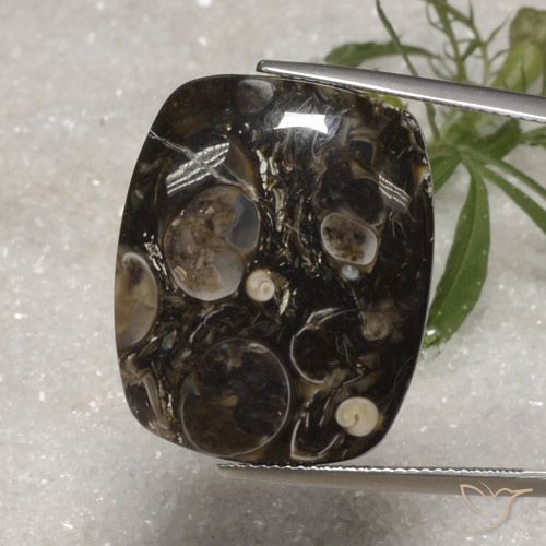 23.10ct Натуральный Многоцветный Яшма, Подушка, Непрозрачный
