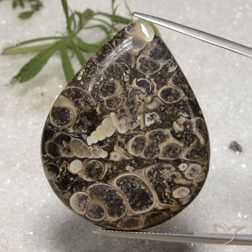 62.18ct Натуральный Многоцветный Яшма, Форма груши, Непрозрачный