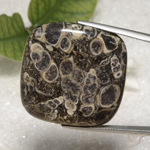 55.16ct Натуральный Многоцветный Яшма, Подушка, Непрозрачный