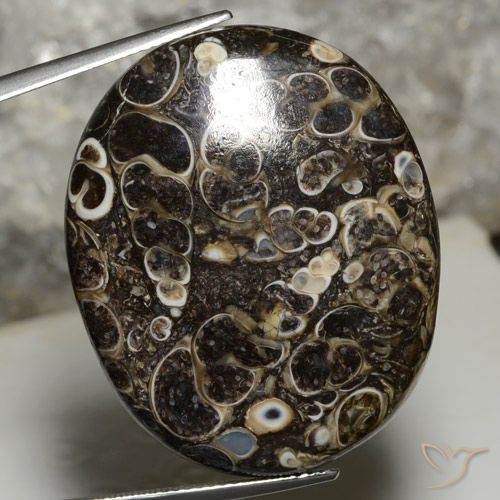 44.14ct Натуральный Многоцветный Яшма, Овал, Непрозрачный, Photo A
