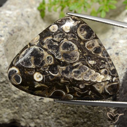 41.13ct Натуральный Многоцветный Яшма, Триллион, Непрозрачный
