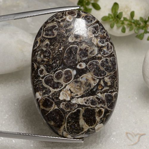 50.37ct Натуральный Многоцветный Яшма, Овал, Непрозрачный