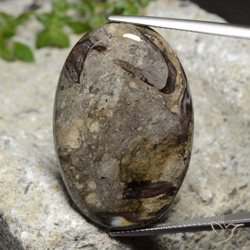 42.92ct Натуральный Многоцветный Яшма, Овал, Непрозрачный