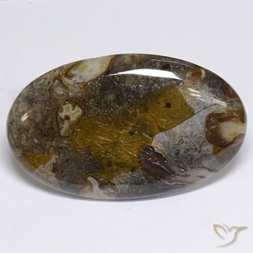 48.91ct Натуральный Многоцветный Яшма, Овал, Непрозрачный