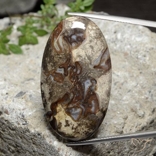 46.44ct Натуральный Многоцветный Яшма, Овал, Непрозрачный