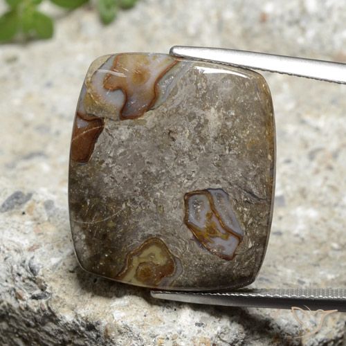 18.40ct Натуральный Многоцветный Яшма, Подушка, Непрозрачный
