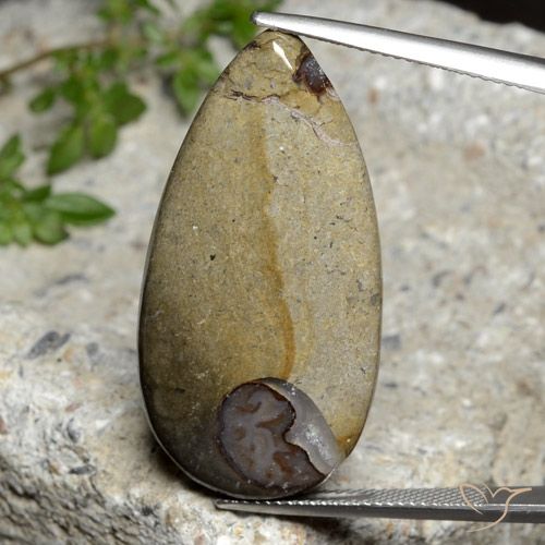 24.26ct Натуральный Многоцветный Яшма, Форма груши, Непрозрачный