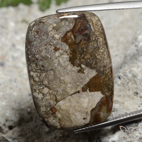 26.06ct Натуральный Многоцветный Яшма, Подушка, Непрозрачный