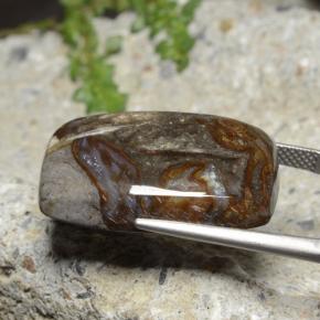 Натуральный Многоцветный Яшма 25,44 карата Подушка Крой, Непрозрачный