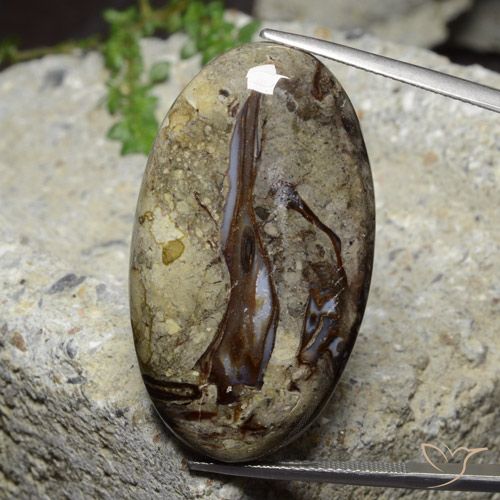 46.39ct Натуральный Многоцветный Яшма, Овал, Непрозрачный