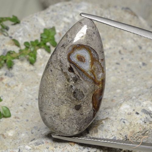 23.89ct Натуральный Многоцветный Яшма, Форма груши, Непрозрачный