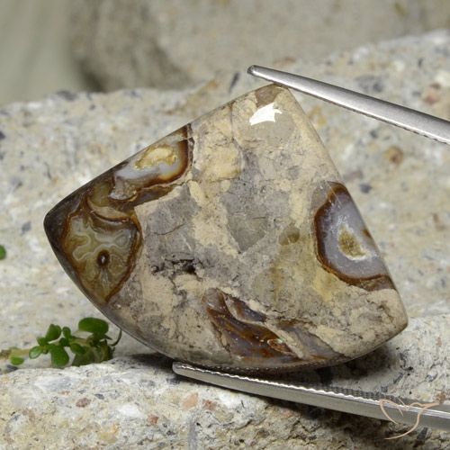28.71ct Натуральный Многоцветный Яшма, Триллион, Непрозрачный