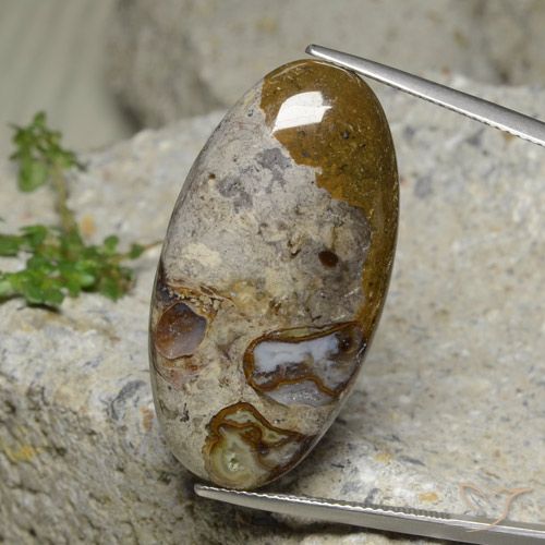 30.95ct Натуральный Многоцветный Яшма, Овал, Непрозрачный