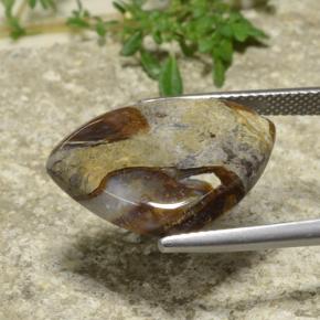 9.97 карата, натуральный Многоцветный Яшма, Триллион, Непрозрачный