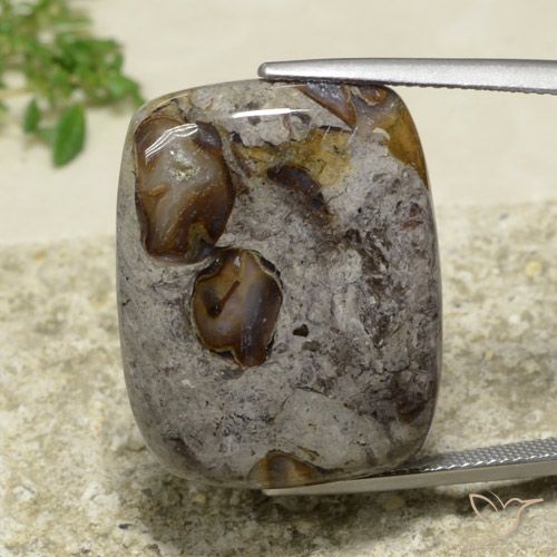 31.55ct Натуральный Многоцветный Яшма, Подушка, Непрозрачный