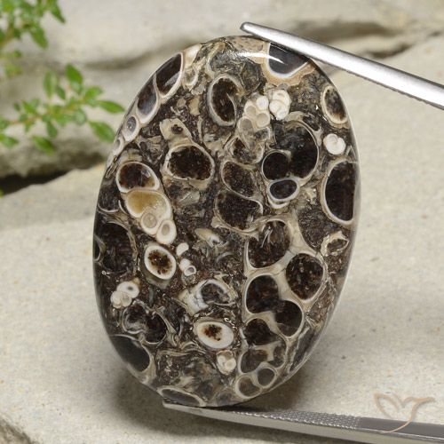 47.67ct Натуральный Многоцветный Яшма, Овал, Непрозрачный