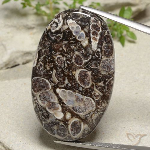 43.97ct Натуральный Многоцветный Яшма, Овал, Непрозрачный
