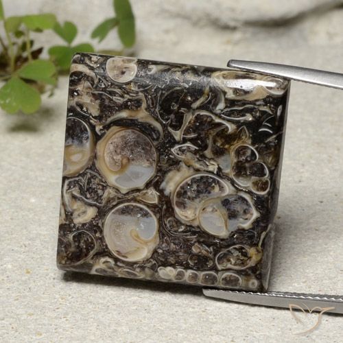 30.08ct Натуральный Многоцветный Яшма, Квадрат, Непрозрачный