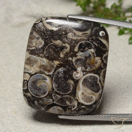 33.41ct Натуральный Многоцветный Яшма, Подушка, Непрозрачный