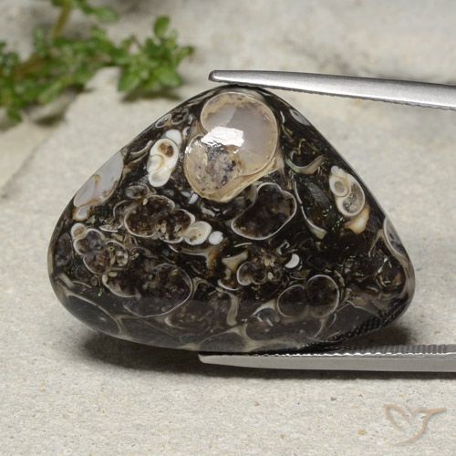 31.57ct Натуральный Многоцветный Яшма, Форма груши, Непрозрачный
