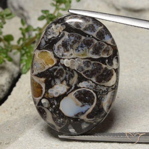 31.02ct Натуральный Многоцветный Яшма, Овал, Непрозрачный