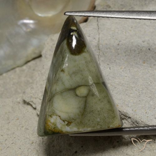17.87ct Натуральный Многоцветный Яшма, Триллион, Непрозрачный