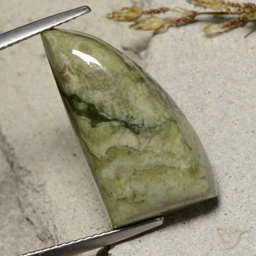 12.46ct Натуральный Многоцветный Яшма, причудливая, Непрозрачный
