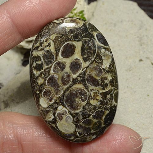 71.95ct Натуральный Многоцветный Яшма, Овал, Непрозрачный