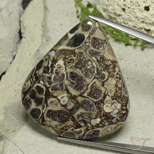 46.19ct Натуральный Многоцветный Яшма, Форма груши, Непрозрачный