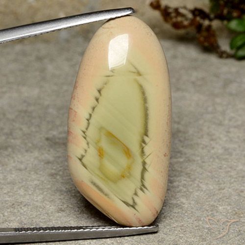 16.99ct Натуральный Многоцветный Яшма, причудливая, Непрозрачный