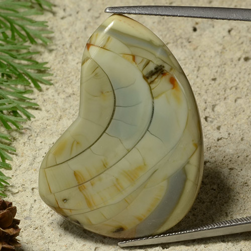 25.50 карата, натуральный Многоцветный Яшма, Необычная форма, Непрозрачный