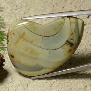 25.50 карата, натуральный Многоцветный Яшма, Необычная форма, Непрозрачный