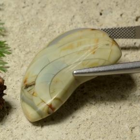 25.50 карата, натуральный Многоцветный Яшма, Необычная форма, Непрозрачный