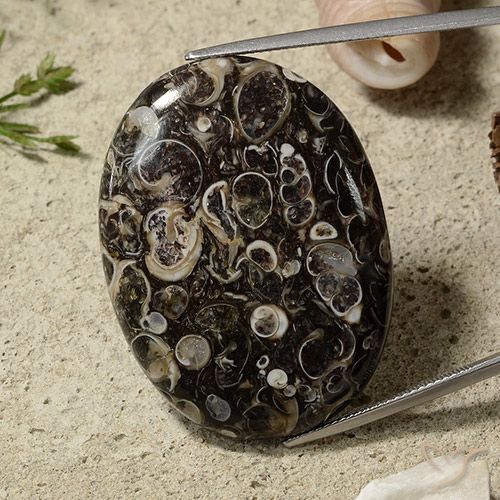 51.44ct Натуральный Многоцветный Яшма, Овал, Непрозрачный