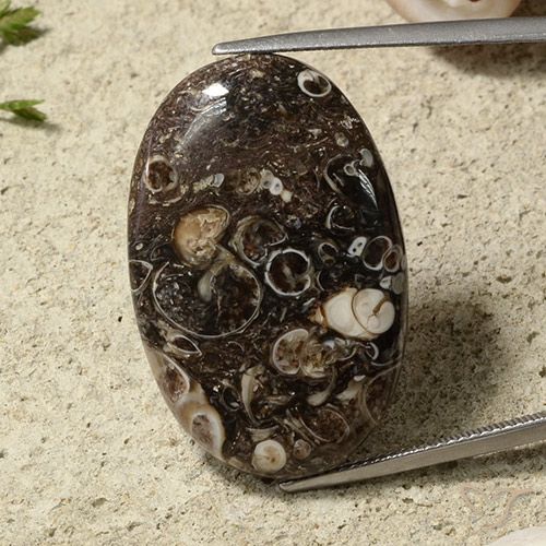 31.54ct Натуральный Многоцветный Яшма, Овал, Непрозрачный