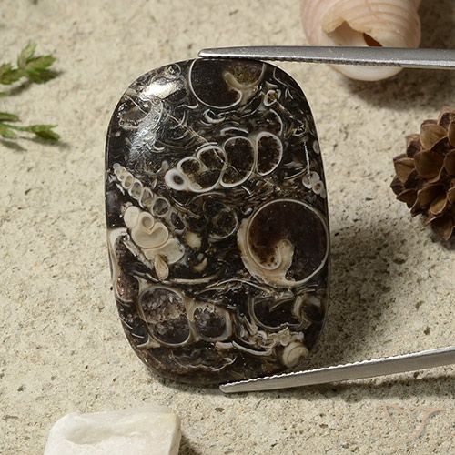 35.69ct Натуральный Многоцветный Яшма, Подушка, Непрозрачный
