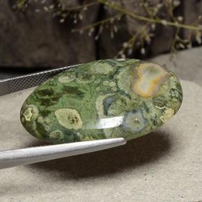 28.73 карата, натуральный Многоцветный Яшма, Огранка Овал, Непрозрачный