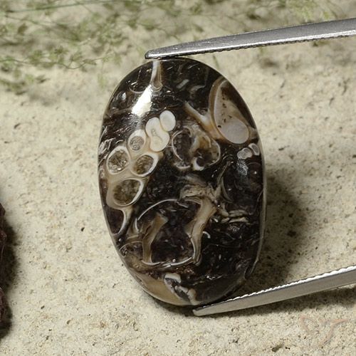 22.52ct Натуральный Многоцветный Яшма, Овал, Непрозрачный