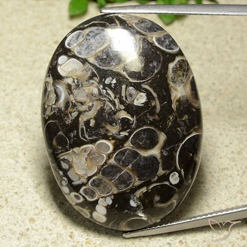 43.81ct Натуральный Многоцветный Яшма, Овал, Непрозрачный