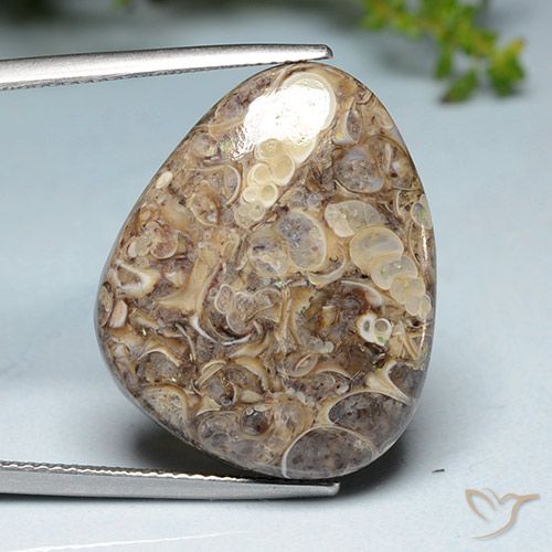 20.52ct Натуральный Многоцветный Яшма, причудливая, Непрозрачный