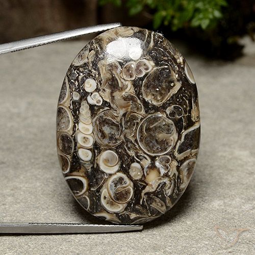39.98ct Натуральный Многоцветный Яшма, Овал, Непрозрачный