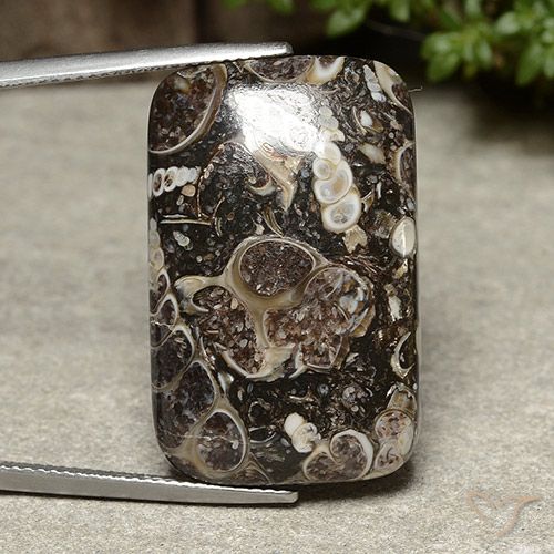 32.91ct Натуральный Многоцветный Яшма, Подушка, Непрозрачный