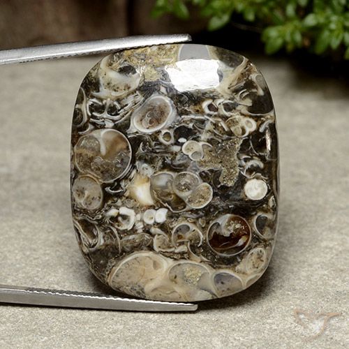 38.76ct Натуральный Многоцветный Яшма, Подушка, Непрозрачный