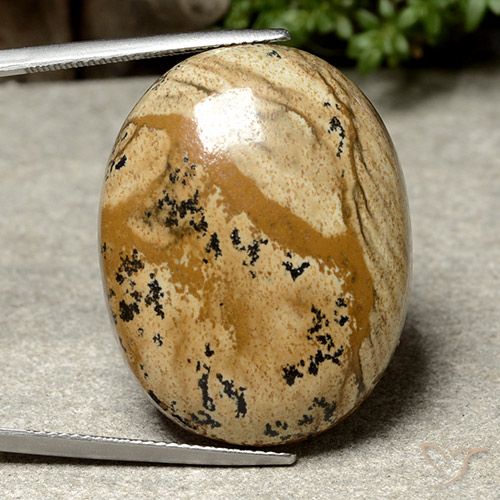 44.97ct Натуральный Многоцветный Яшма, Овал, Непрозрачный