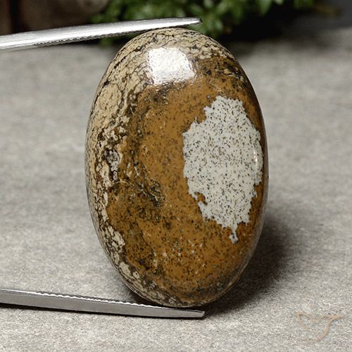 40.46ct Натуральный Многоцветный Яшма, Овал, Непрозрачный