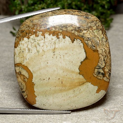 74.76ct Натуральный Многоцветный Яшма, Подушка, Непрозрачный